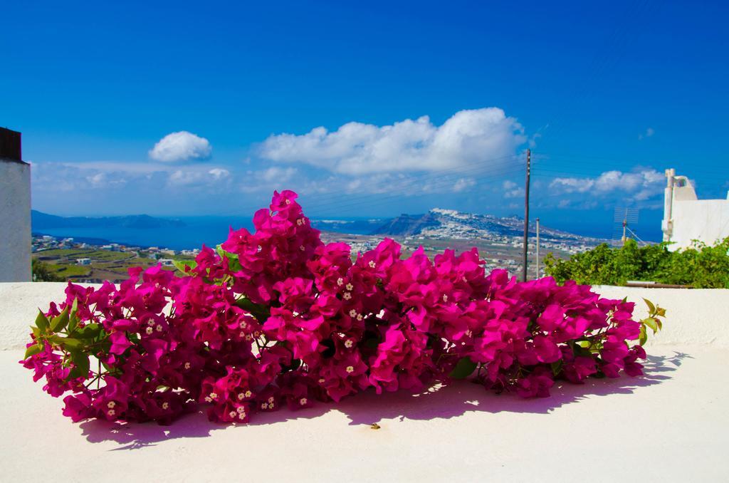 Chrisanthi Villa Pyrgos Kallistis Ruang foto